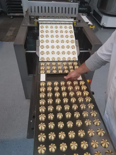 Gıda makinesi — kuru pasta üretim makinesi